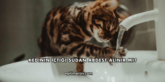 Kedinin İçtiği Sudan Abdest Alınır mı?