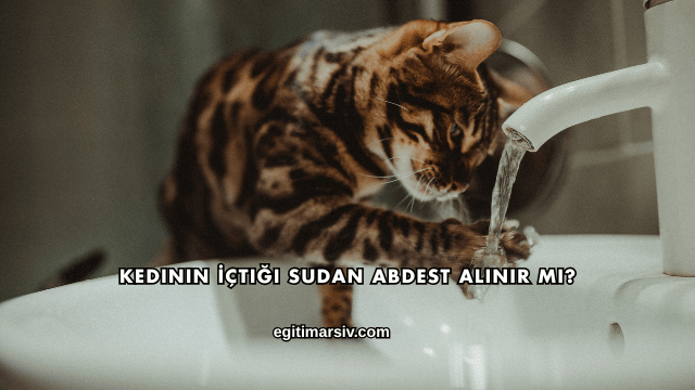 Kedinin İçtiği Sudan Abdest Alınır mı?