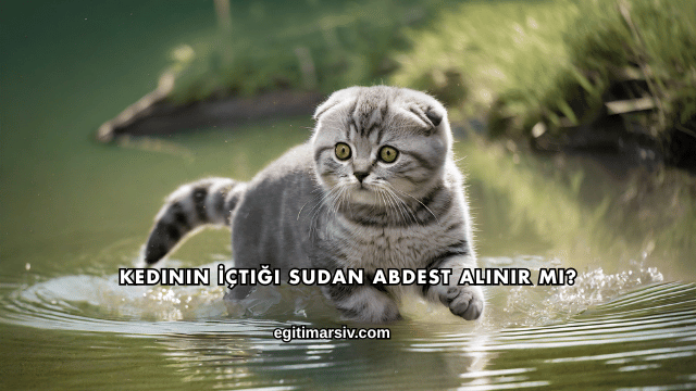 Kedinin İçtiği Sudan Abdest Alınır mı?