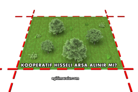 Kooperatif Hisseli Arsa Alınır mı?