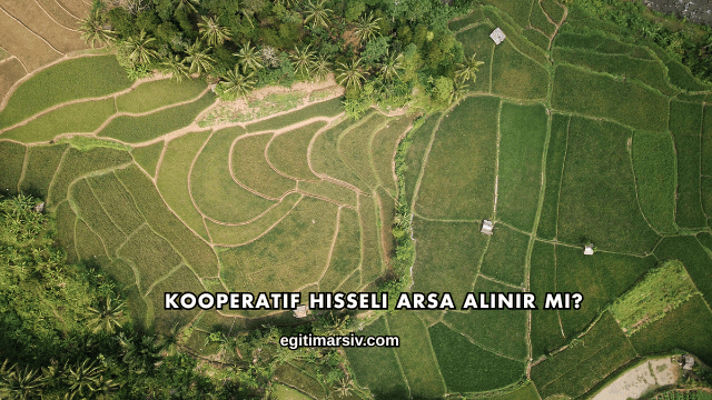 Kooperatif Hisseli Arsa Alınır mı?