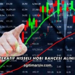 Kooperatif Hisseli Hobi Bahçesi Alınır mı?