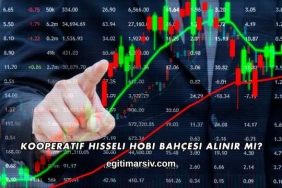 Kooperatif Hisseli Hobi Bahçesi Alınır mı?