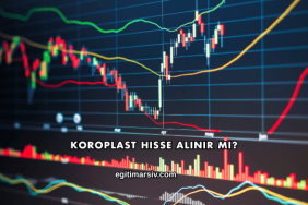 Koroplast Hisse Alınır mı?