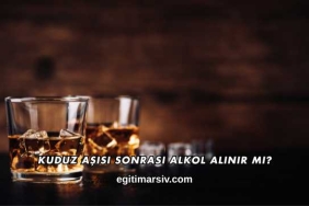 Kuduz Aşısı Sonrası Alkol Alınır mı?