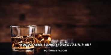 Kuduz Aşısı Sonrası Alkol Alınır mı?