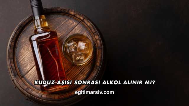 Kuduz Aşısı Sonrası Alkol Alınır mı?
