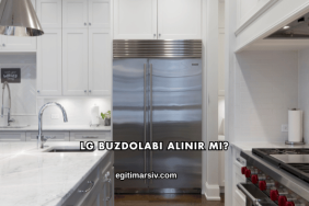 LG Buzdolabı Alınır mı?