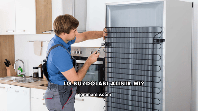 LG Buzdolabı Alınır mı?