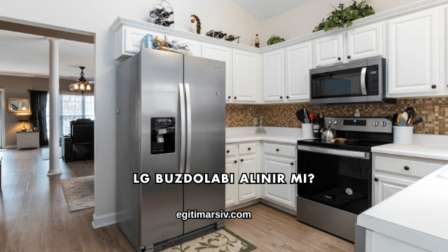 LG Buzdolabı Alınır mı?