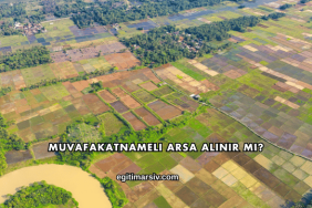 Muvafakatnameli Arsa Alınır mı?