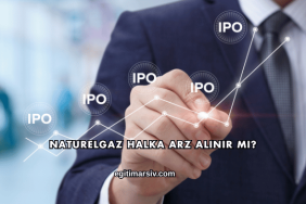 Naturelgaz Halka Arz Alınır mı?