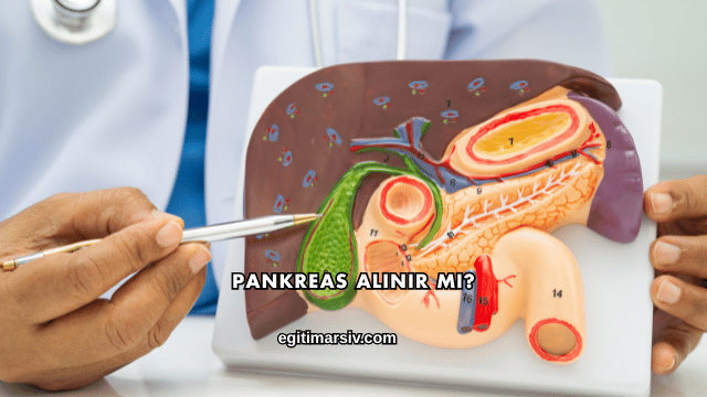 Pankreas Alınır mı?