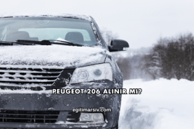 Peugeot 206 Alınır mı?