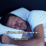 Rüyada Koku Alınır mı?