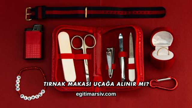 Tırnak Makası Uçağa Alınır mı?