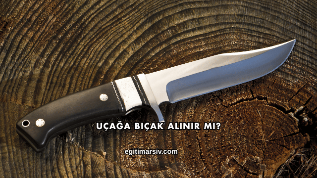 Uçağa Bıçak Alınır mı?