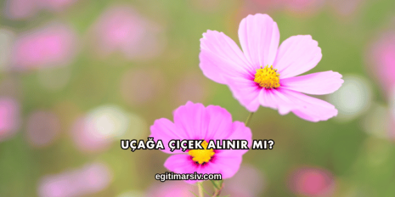 Uçağa Çiçek Alınır mı?