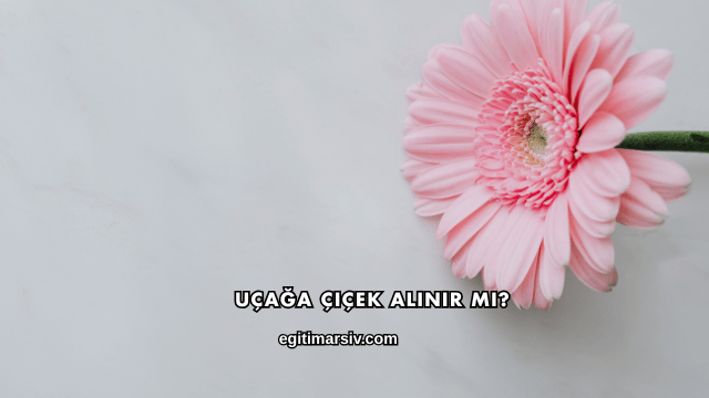 Uçağa Çiçek Alınır mı?
