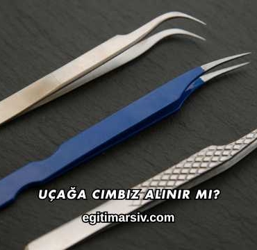 Uçağa Cımbız Alınır mı?