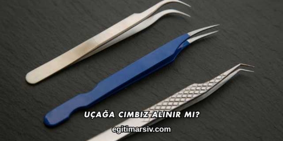 Uçağa Cımbız Alınır mı?