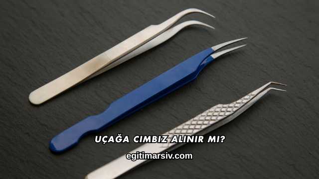 Uçağa Cımbız Alınır mı?