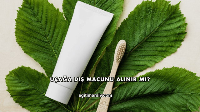 Uçağa Diş Macunu Alınır mı?