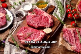 Uçağa Et Alınır mı?