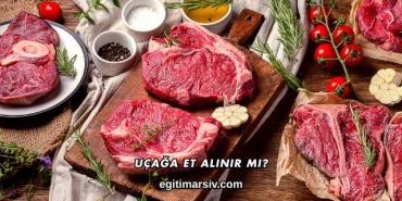 Uçağa Et Alınır mı?