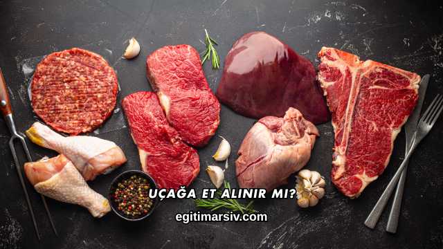 Uçağa Et Alınır mı?