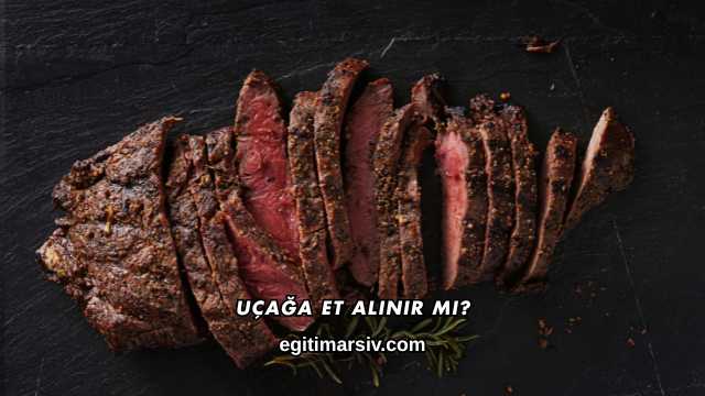 Uçağa Et Alınır mı?