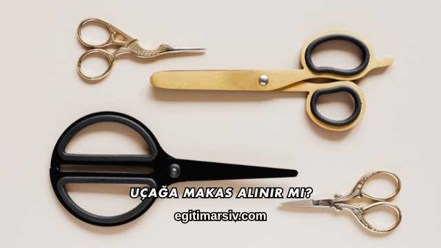 Uçağa Makas Alınır mı?