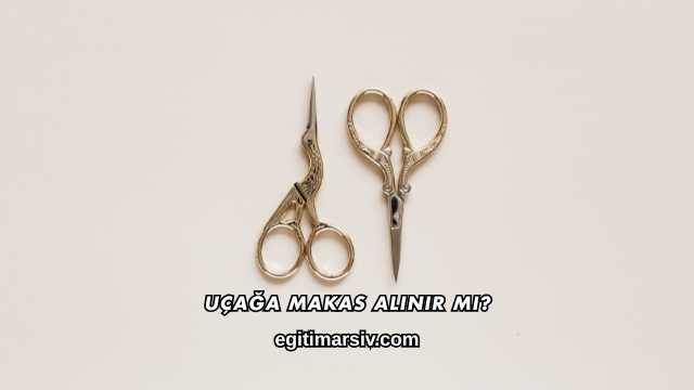 Uçağa Makas Alınır mı?