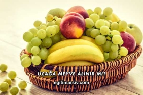 Uçağa Meyve Alınır mı?
