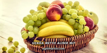 Uçağa Meyve Alınır mı?