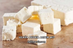 Uçağa Peynir Alınır mı?