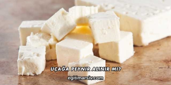 Uçağa Peynir Alınır mı?