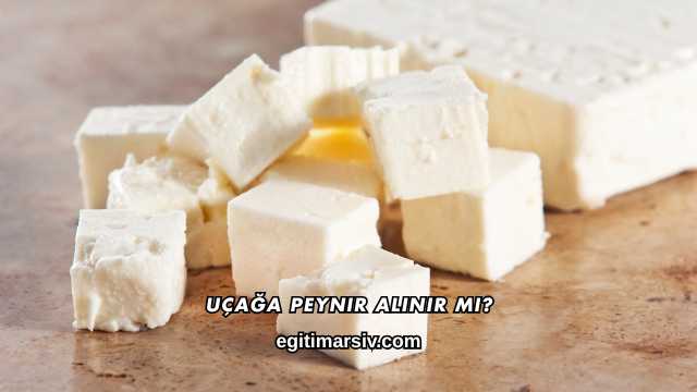 Uçağa Peynir Alınır mı?