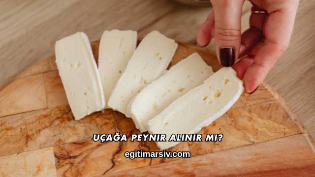 Uçağa Peynir Alınır mı?