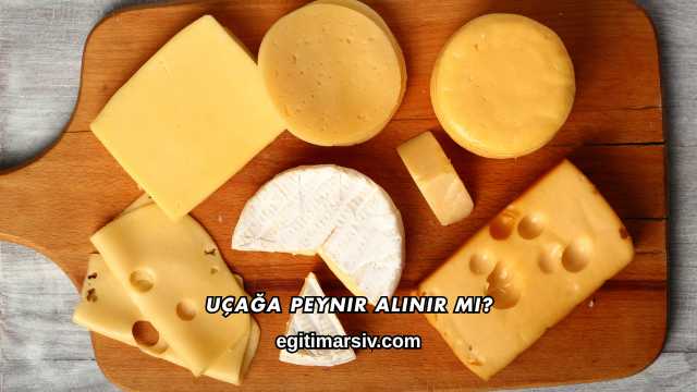 Uçağa Peynir Alınır mı?