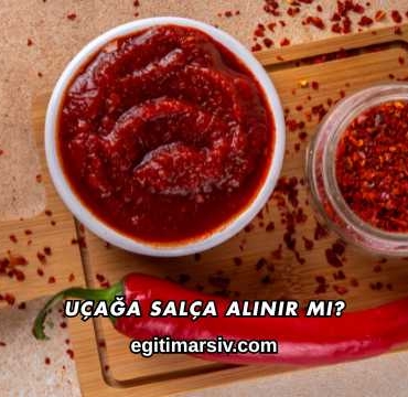 Uçağa Salça Alınır mı?