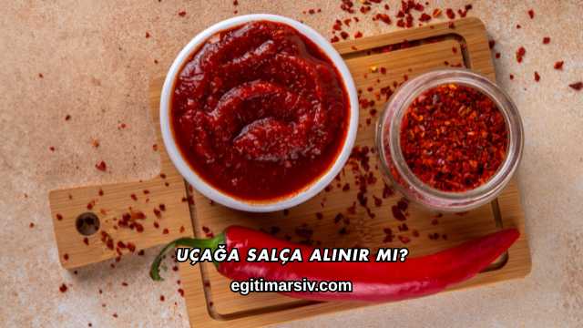 Uçağa Salça Alınır mı?