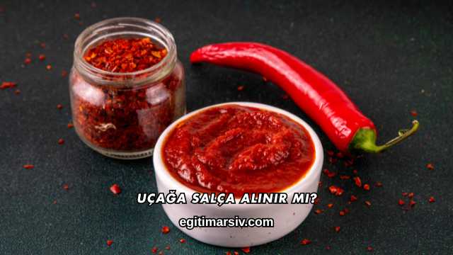 Uçağa Salça Alınır mı?