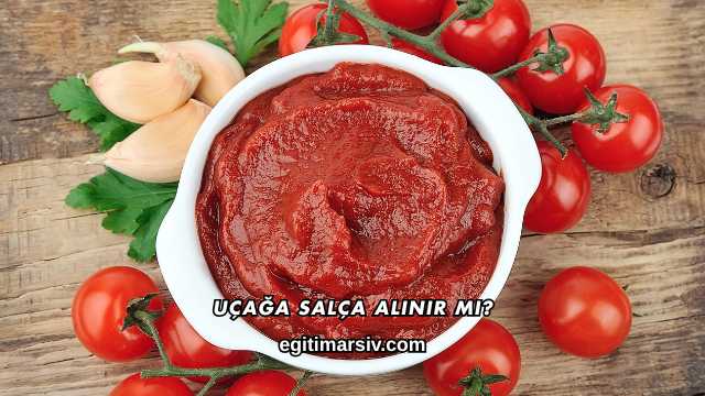 Uçağa Salça Alınır mı?
