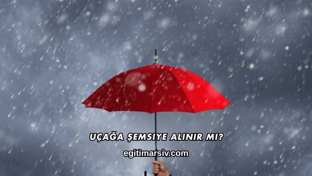 Uçağa Şemsiye Alınır mı?