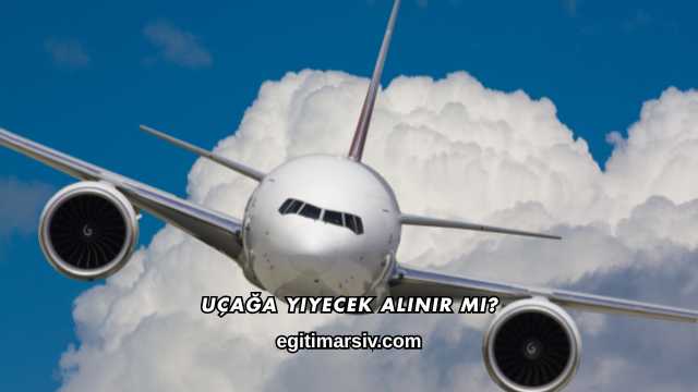 Uçağa Yiyecek Alınır mı?