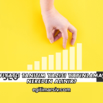 Uygun Fiyatlı Tanıtım Yazısı Yayınlama Hizmeti Nereden Alınır?