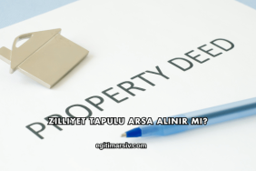 Zilliyet Tapulu Arsa Alınır mı?