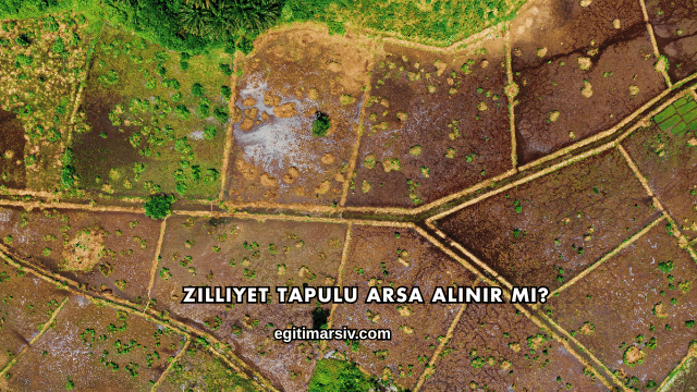 Zilliyet Tapulu Arsa Alınır mı?
