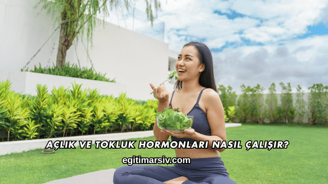 Açlık ve Tokluk Hormonları Nasıl Çalışır?